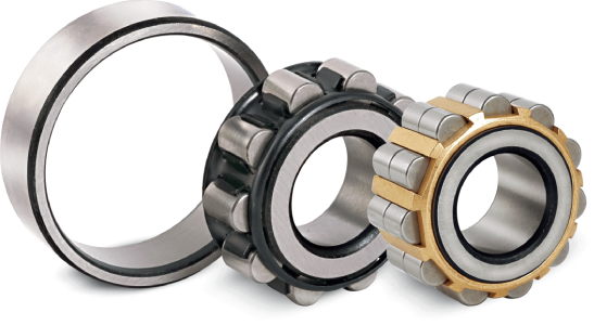 Cylindrical Roller Bearings Special